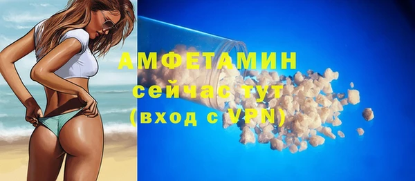 индика Арсеньев