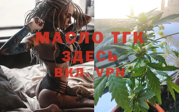 индика Арсеньев