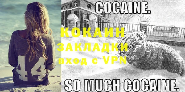 индика Арсеньев