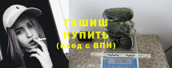 индика Арсеньев