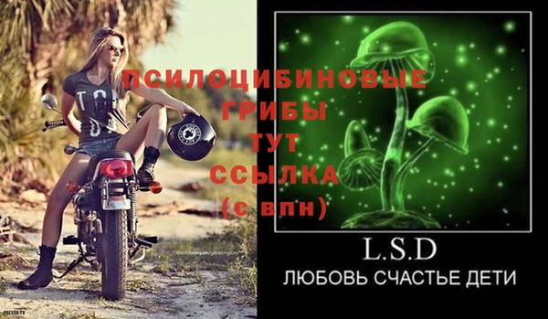 молекула духа Балабаново